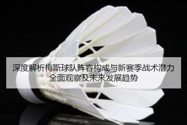 深度解析梅斯球队阵容构成与新赛季战术潜力全面观察及未来发展趋势